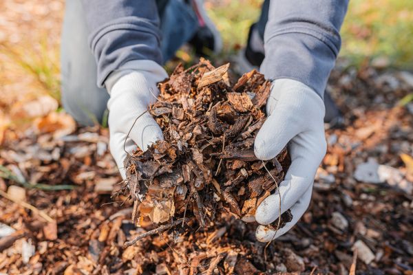 Shredded Mulch Installation in Brentwood
