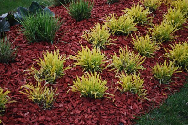 Red Mulch Installation in Brentwood