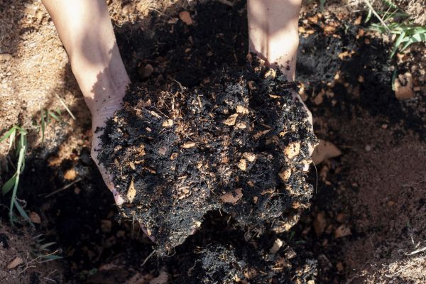 Organic Mulch Installation in Brentwood