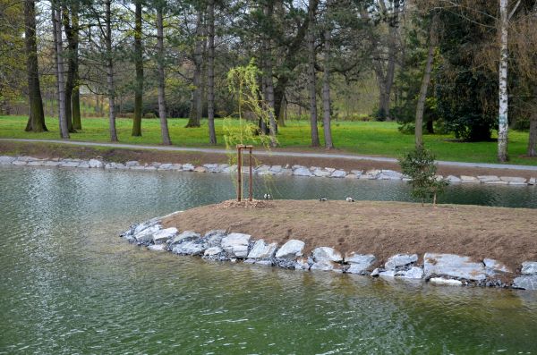 Pond Landscaping Service in Brentwood