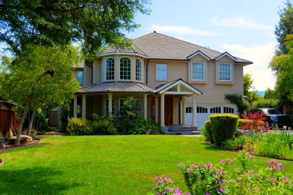 Large Yard Landscaping in Brentwood