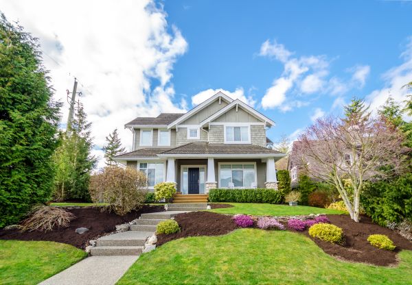 Landscaping Replacement in Brentwood