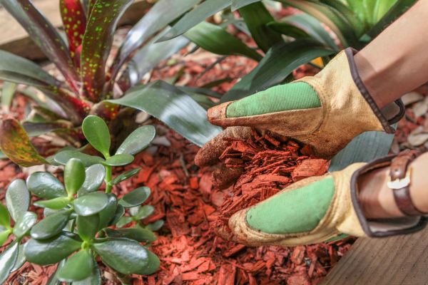 Residential Mulching in Brentwood