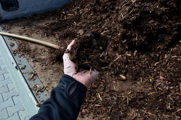 Condo Mulching in Brentwood