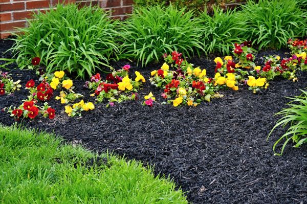 Apartment Mulching in Brentwood